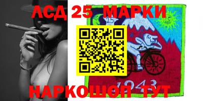индика Можайск