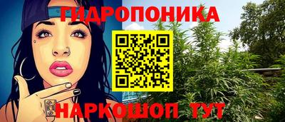 индика Можайск