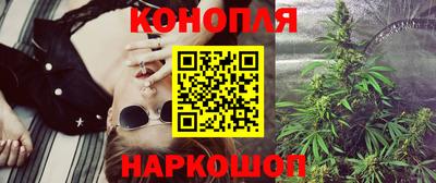 индика Можайск
