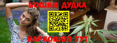 индика Можайск