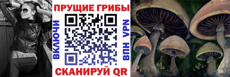 Псилоцибиновые грибы GOLDEN TEACHER  сколько стоит  darknet телеграм  Учалы 