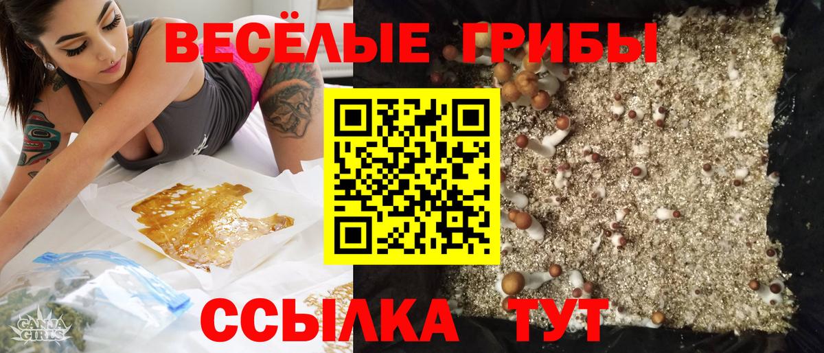 Учалы  Галлюциногенные грибы прущие грибы  Галлюциногенные грибы мицелий  Вход с VPN 