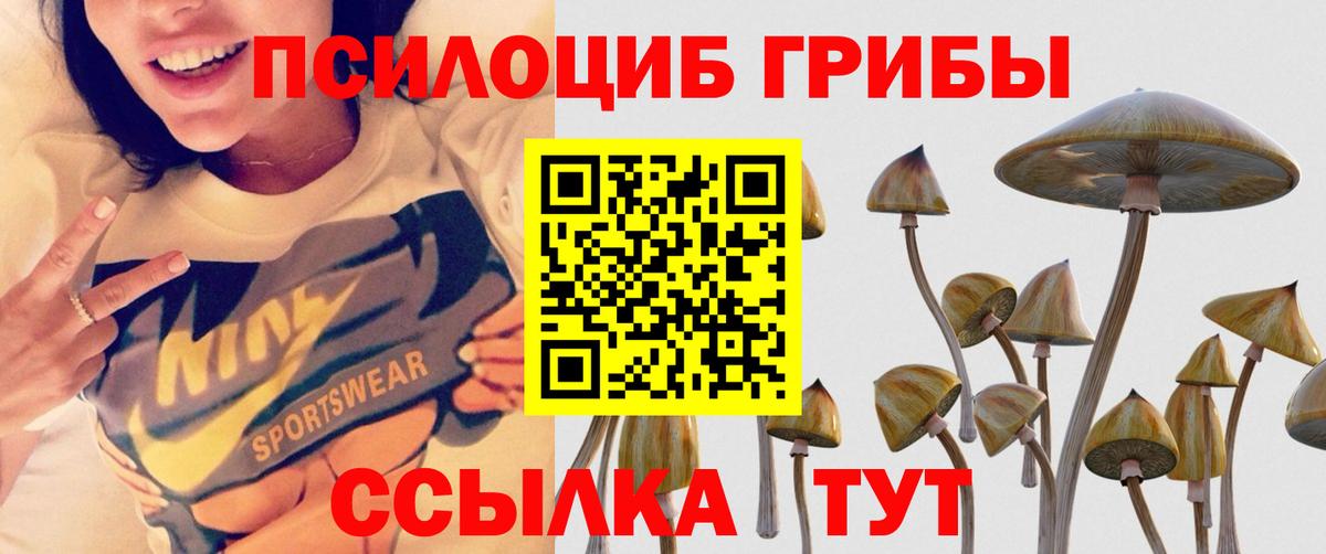 Галлюциногенные грибы Cubensis  Учалы 